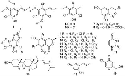 Anti-inflammatory compounds from the mangrove endophytic fungus Amorosia sp. SCSIO 41026